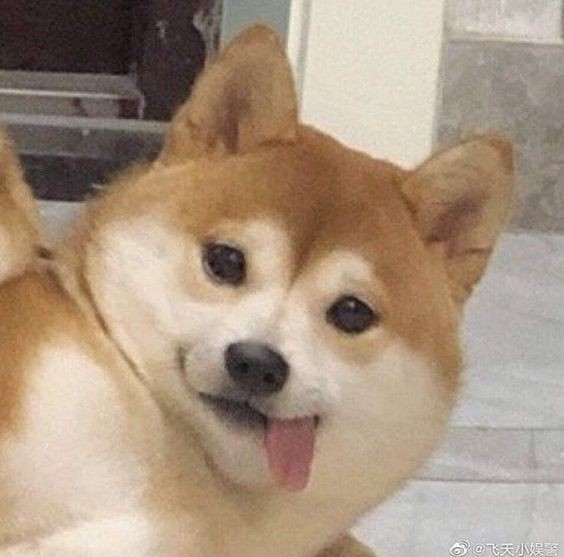 :Þ meme template