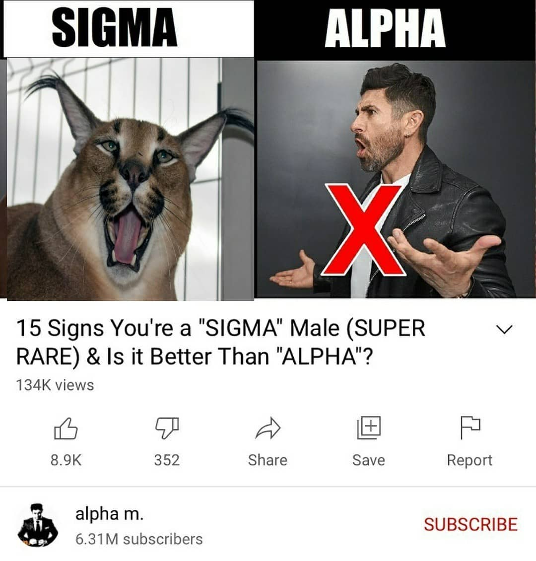 15 signs you're a sigma male is it better than alpha male meme template