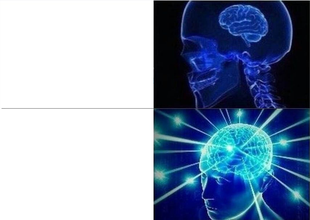 2 level brain meme meme template