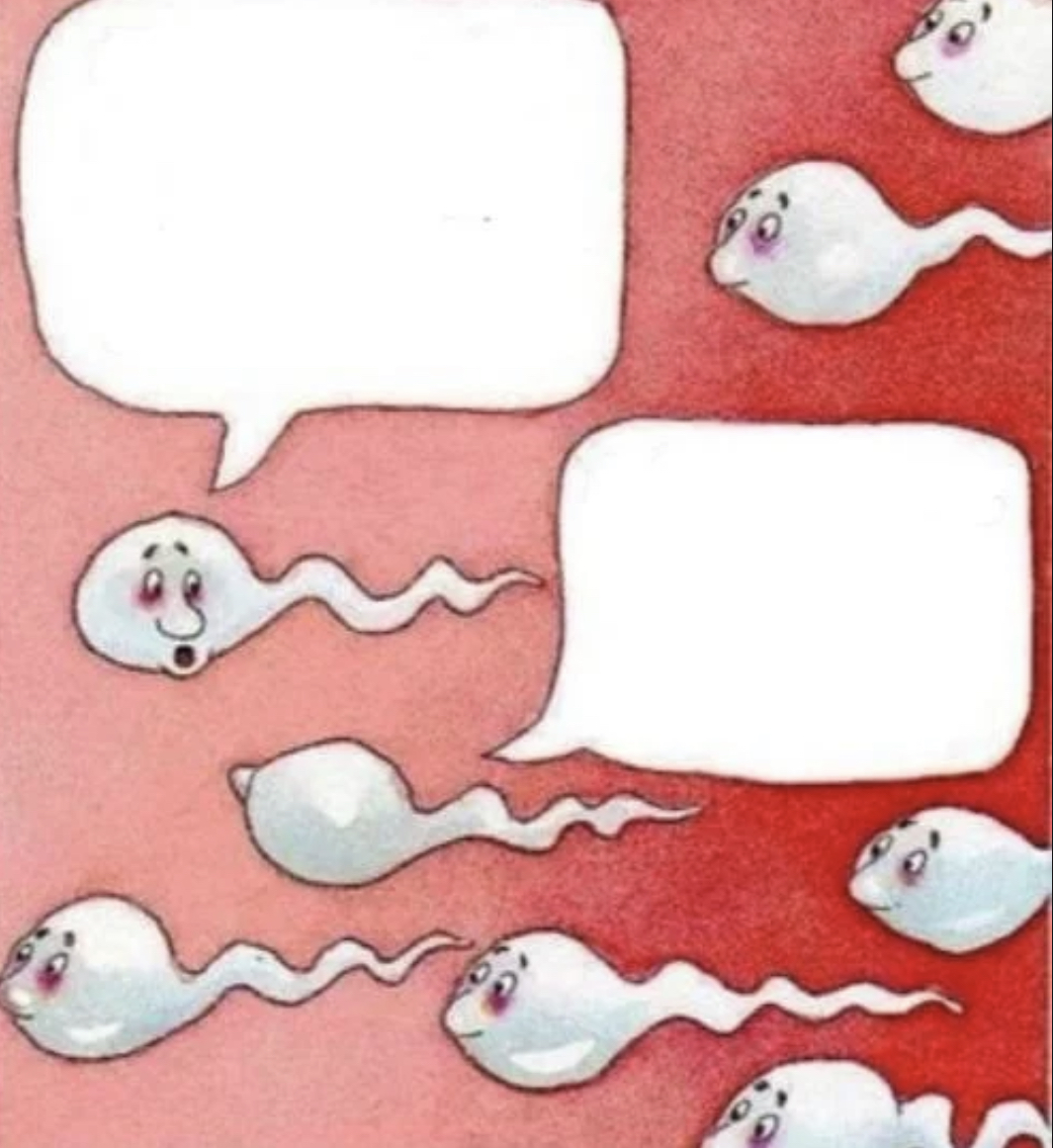 Template meme 2 sperm talking