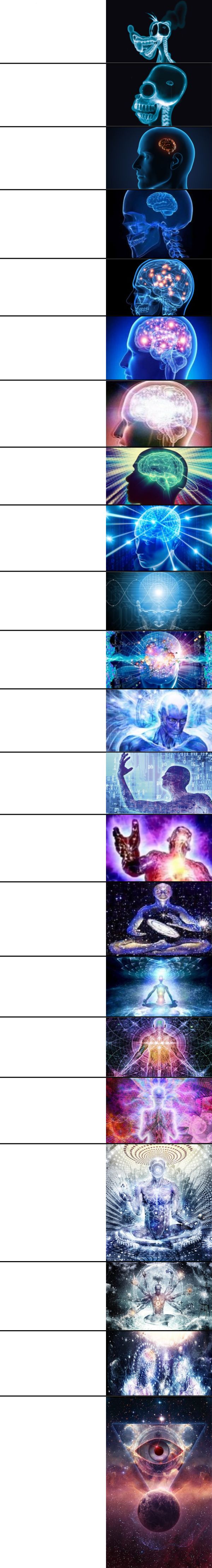 22 Brain Template meme template