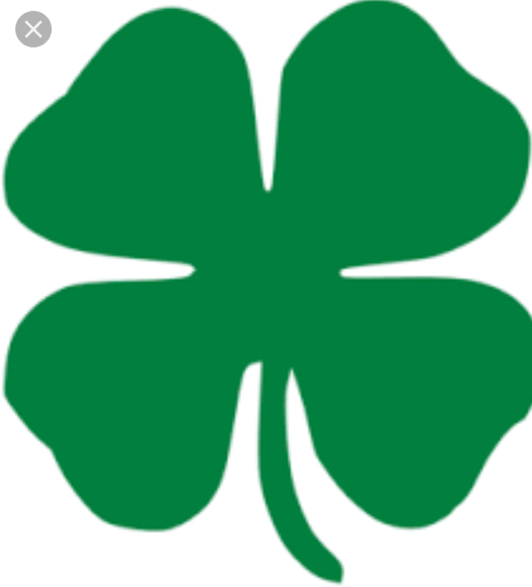 Plantilla de meme 4 leaf Clover