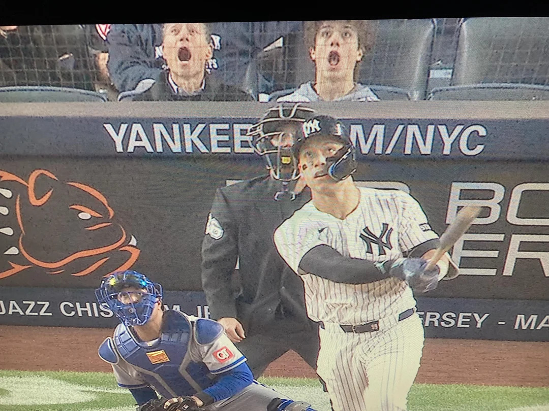 Plantilla de meme Aaron Judge Homer