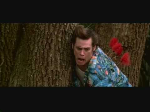 Plantilla de meme Ace Ventura darts