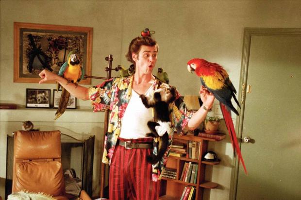 Plantilla de meme ace ventura pet detective