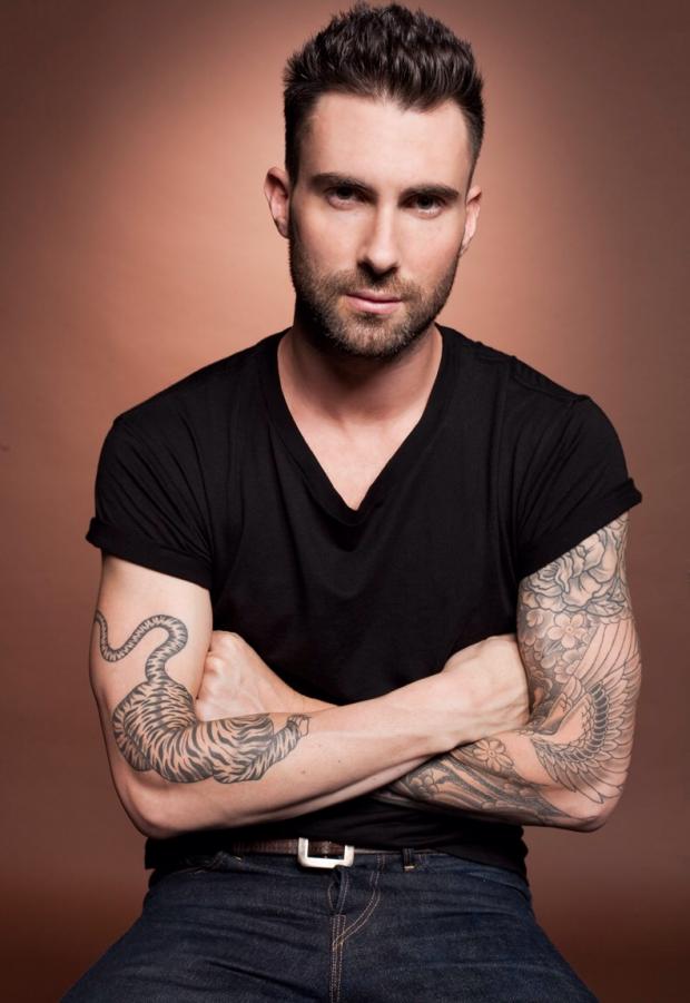 Plantilla de meme Adam Levine