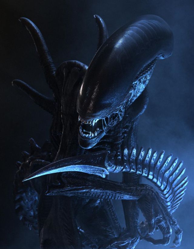 Plantilla de meme Alien Xenomorph