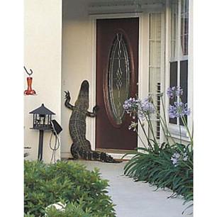 Plantilla de meme Alligator at the door