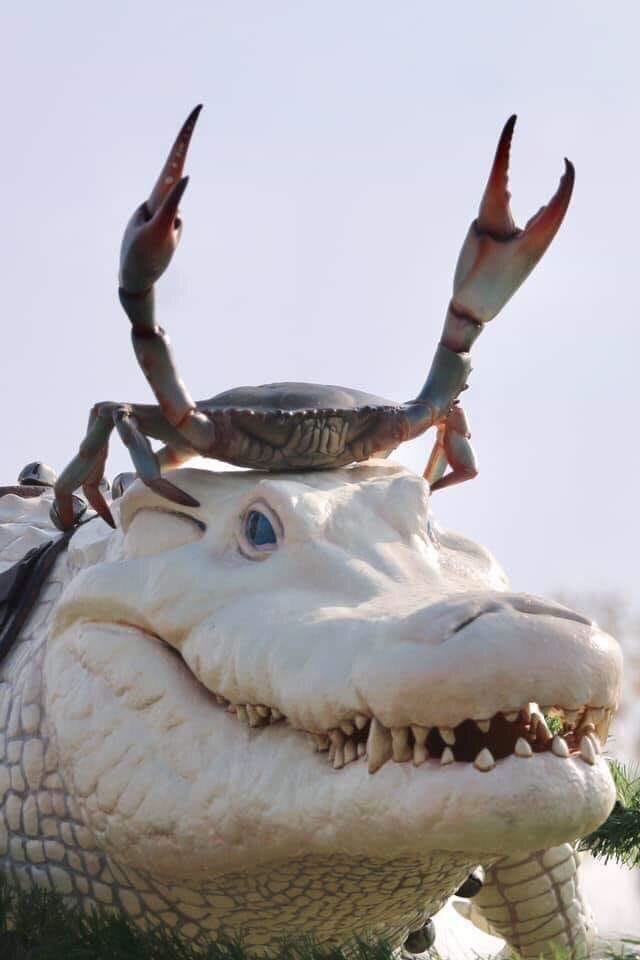 Plantilla de meme Alligator Crab Template