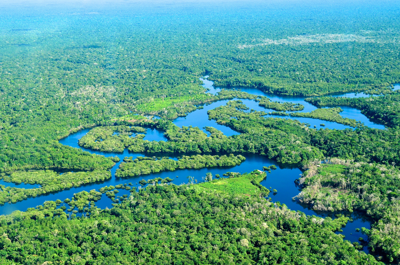 Plantilla de meme Amazon River