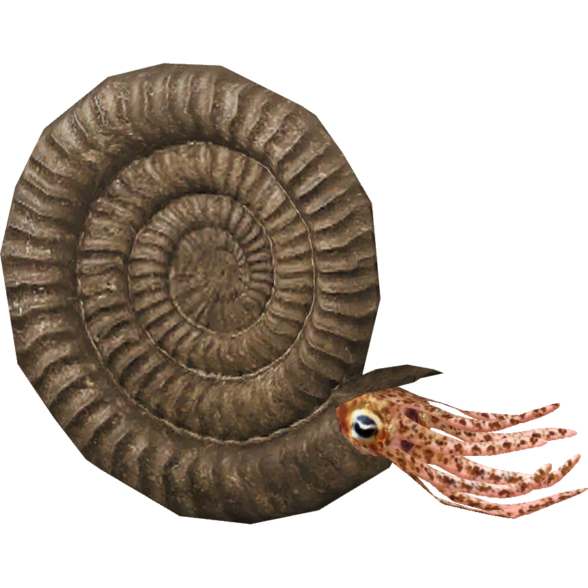 Plantilla de meme Ammonite