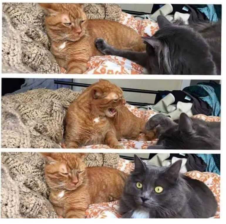 Plantilla de meme Angry Girlfriend