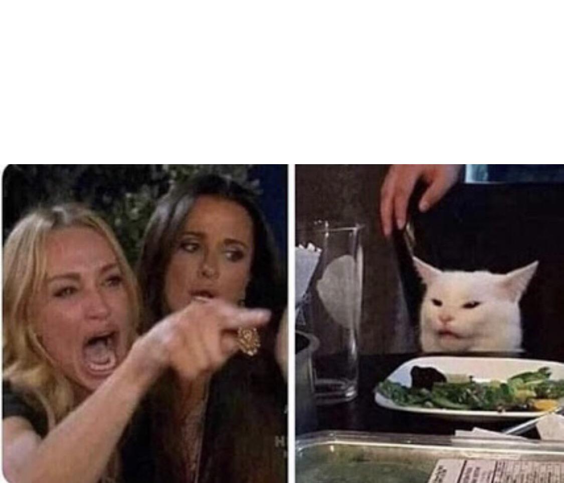 Plantilla de meme Angry Woman and Cat
