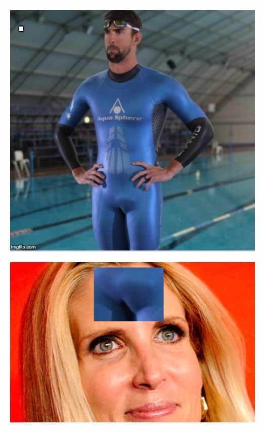Template meme Ann Coulter Michael Phelps dick face