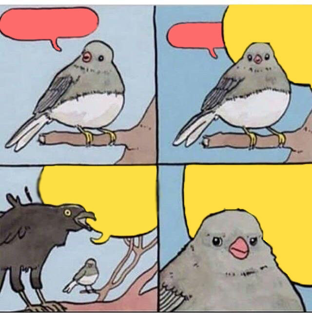 Plantilla de meme annoyed bird