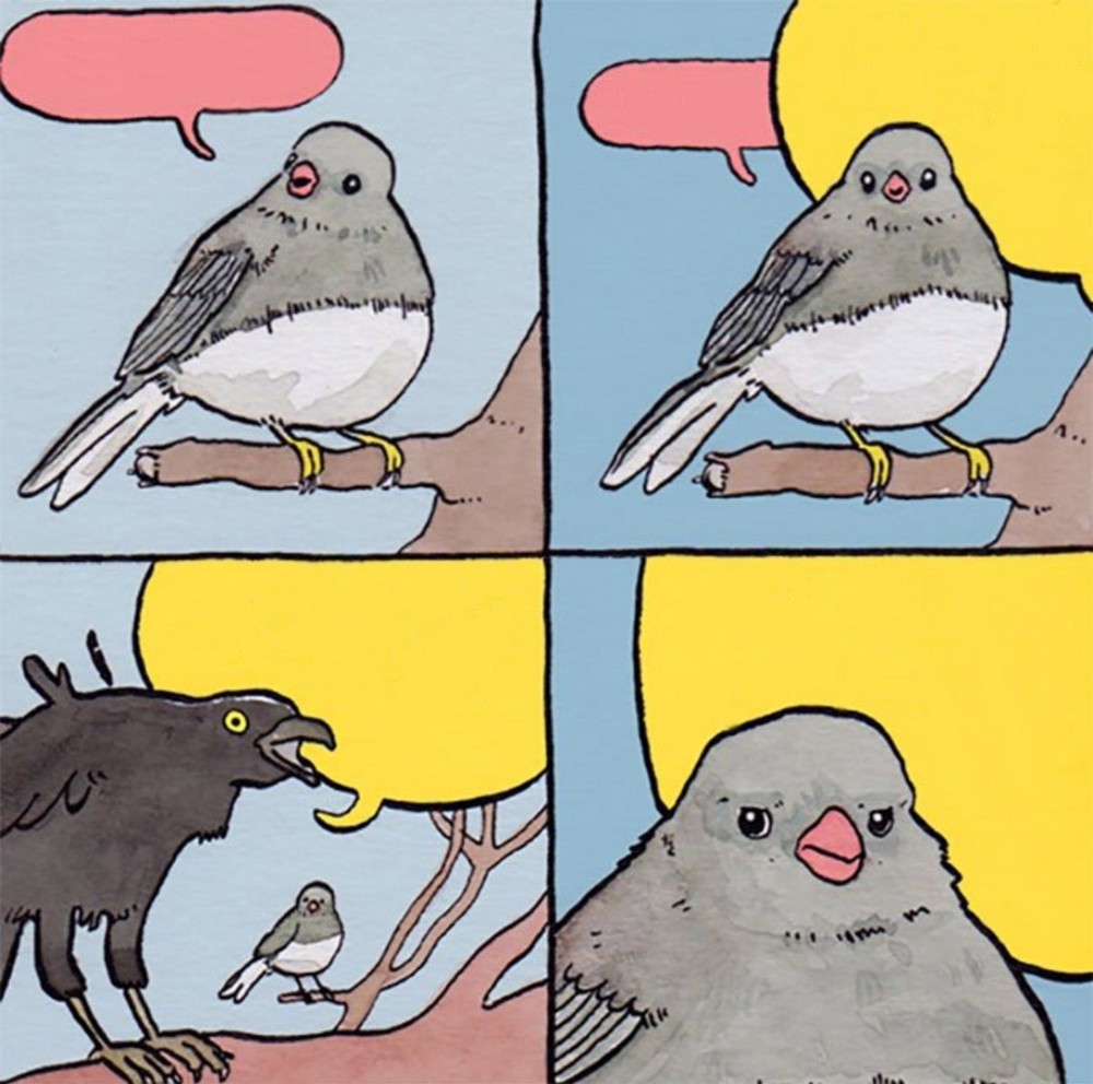 Plantilla de meme Annoyed Bird Meme