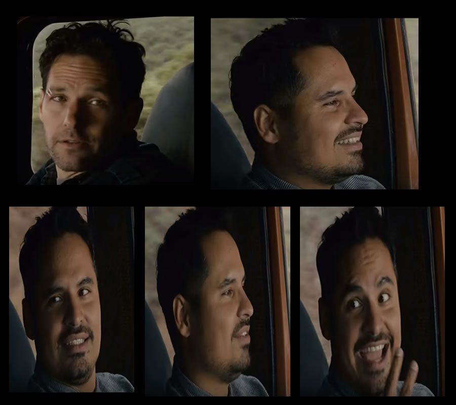 Plantilla de meme Ant Man Luis Van