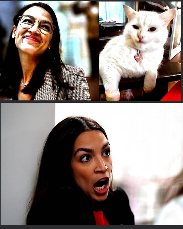Template meme AOC meets Smudge