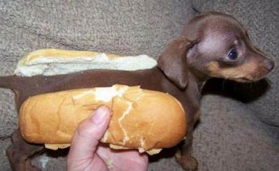 Template meme asian hot dog