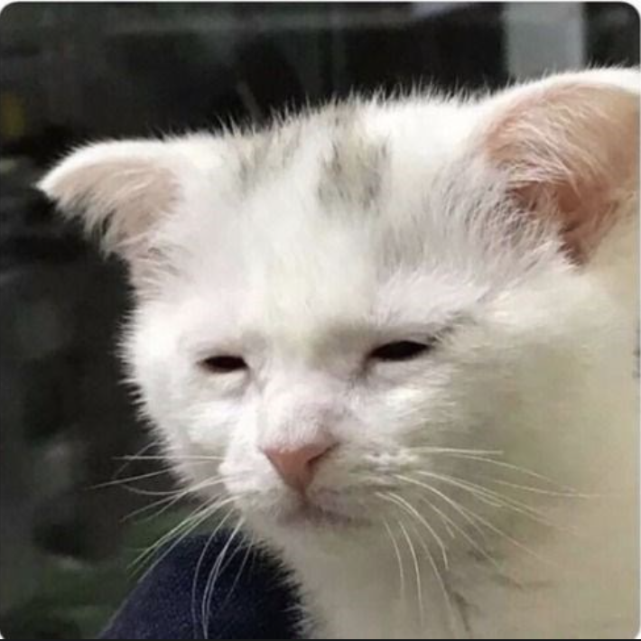 Template meme awake but at what cost