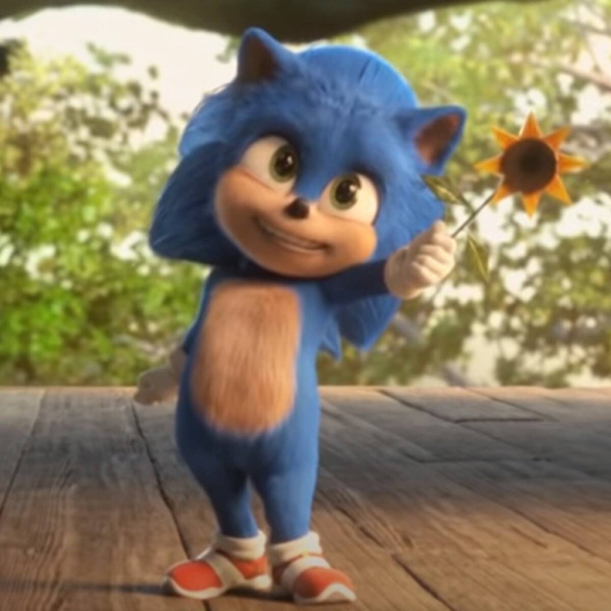 Template meme baby sonic