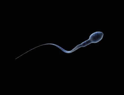 Template meme Bad Luck Sperm