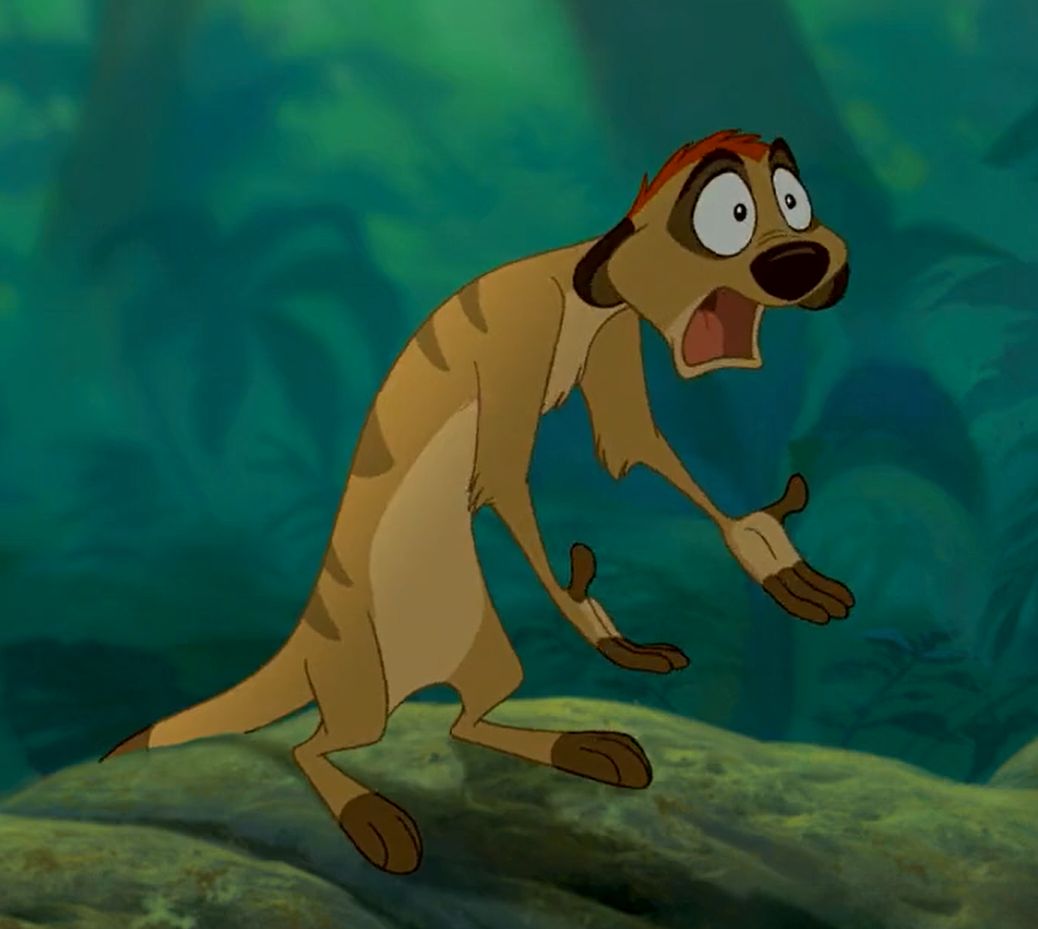Plantilla de meme baffled timon