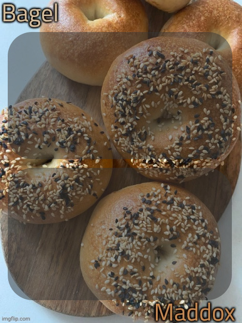 Plantilla de meme bagel and maddox shared temp