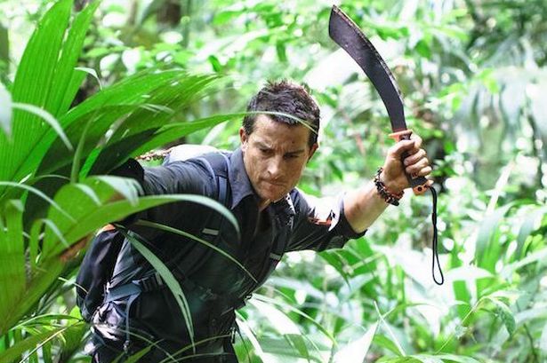 Plantilla de meme Bear Grylls in the Jungle