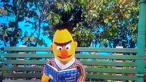 Template meme Bert jacking off to Fifty Shades of Oatmeal