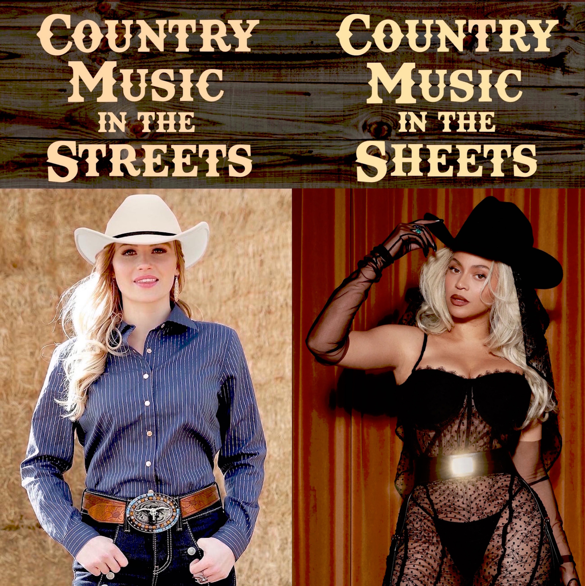 Plantilla de meme Beyonce Country Music Meme
