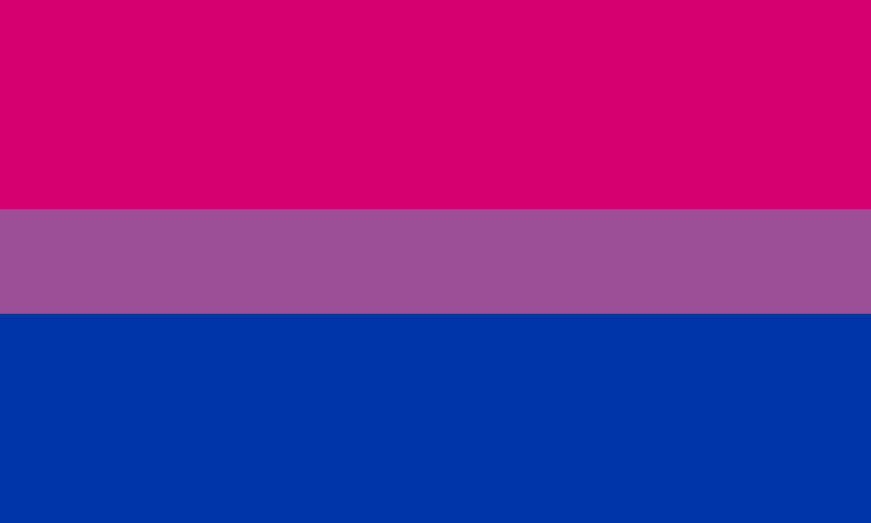 Plantilla de meme Bi flag