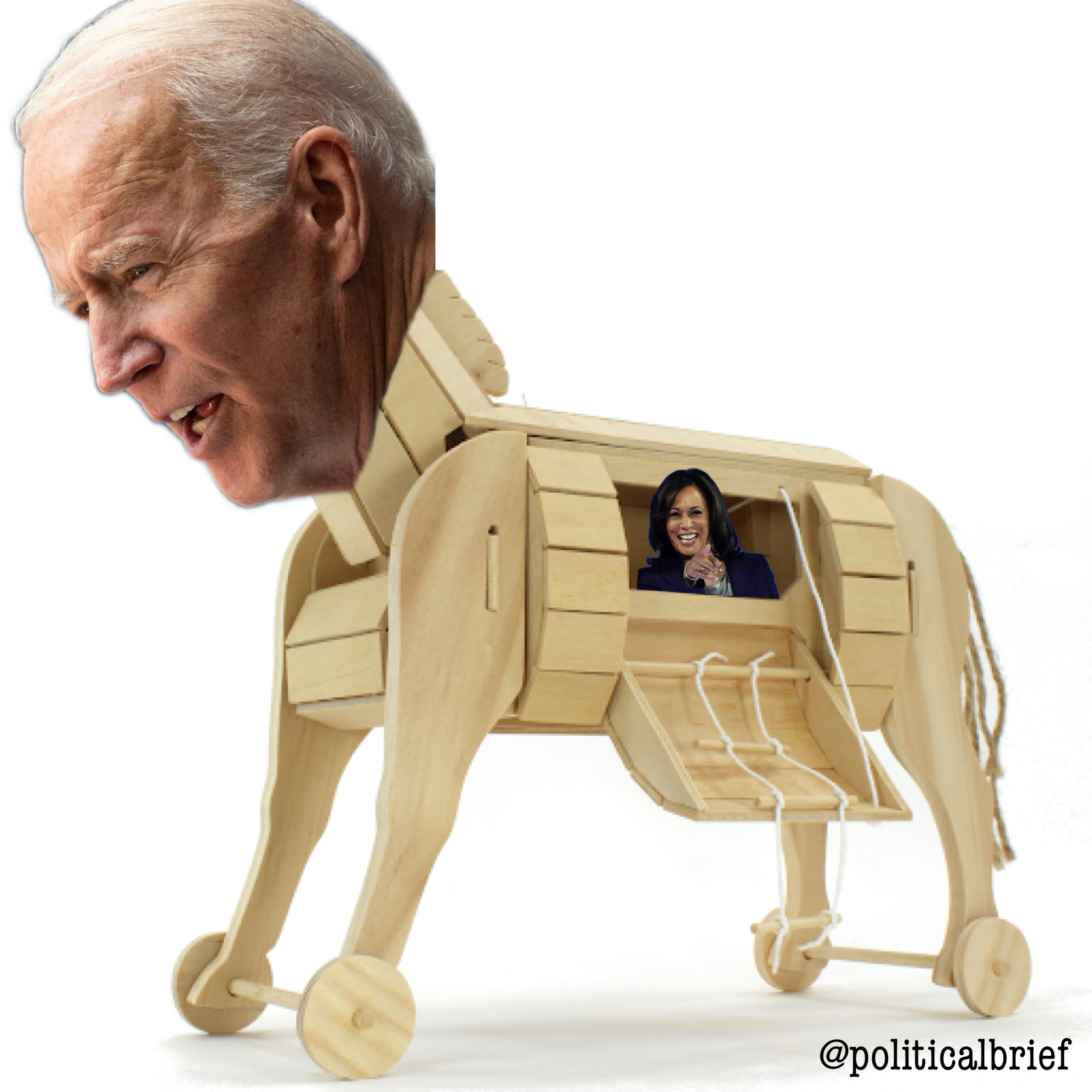 Plantilla de meme Biden Harris