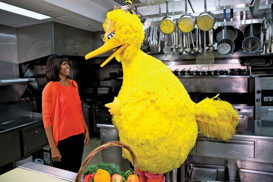 Plantilla de meme Big bird dark gumor