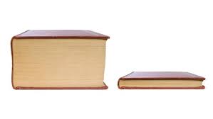 Plantilla de meme Big book small book