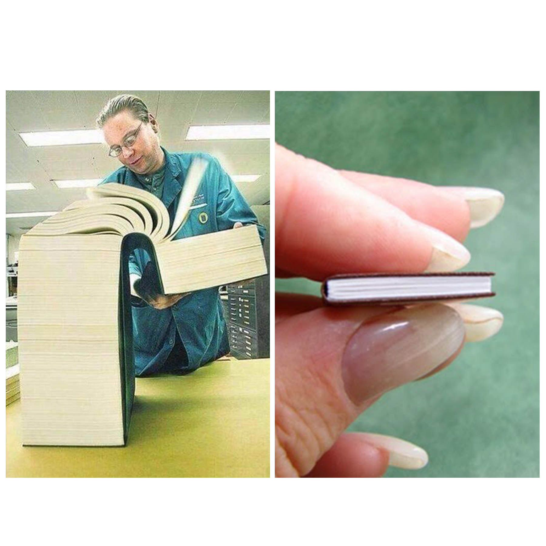 Template meme Big book vs Little Book