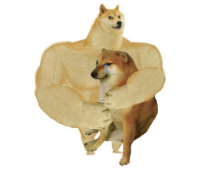 Template meme big brother doge hugging little brother cheems