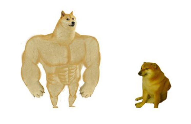 Template meme Big dog small dog