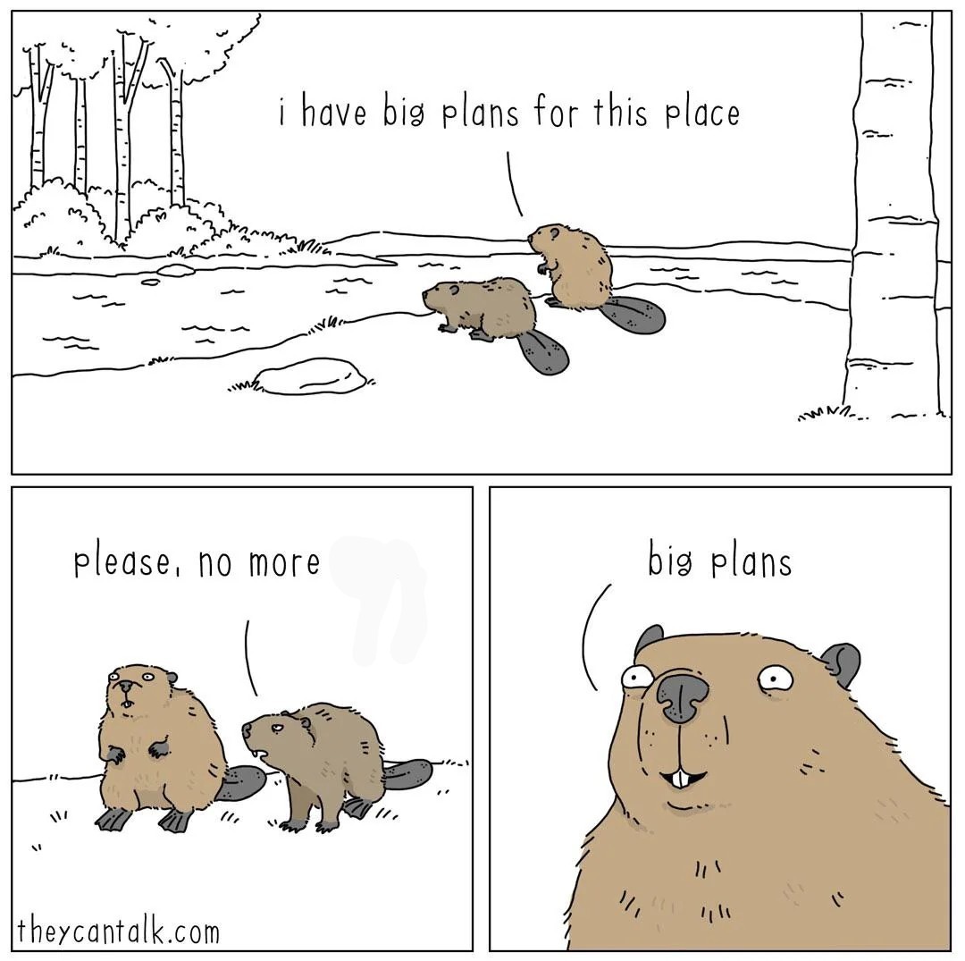 Plantilla de meme Big Plan Beaver