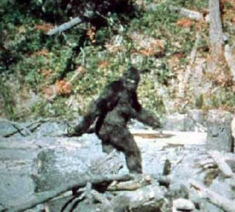 Template meme BIGFOOT