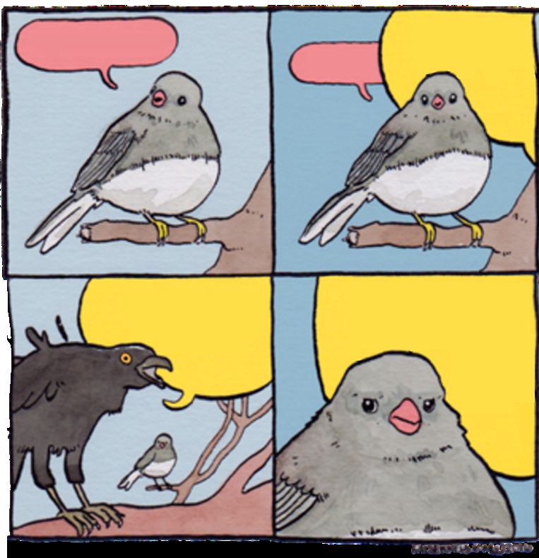 Plantilla de meme Birds meme