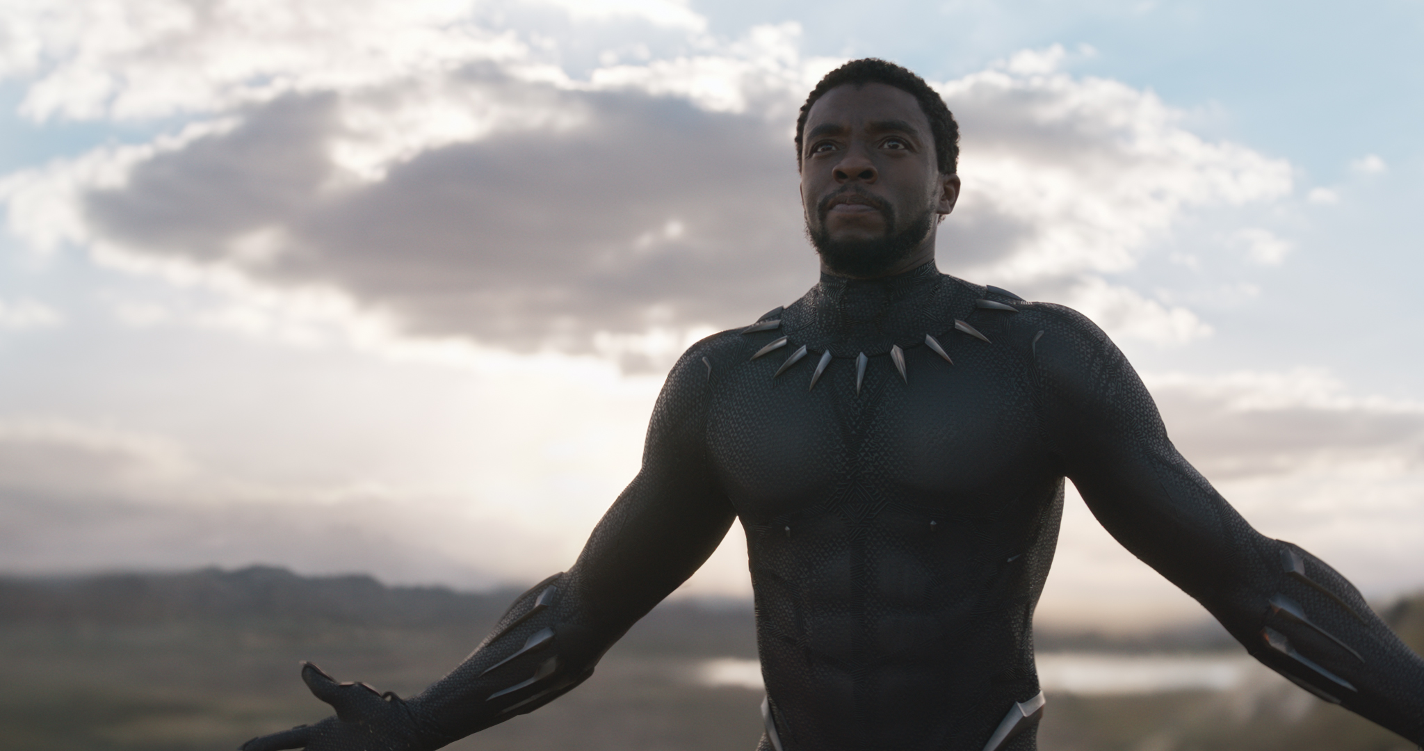 Plantilla de meme Black Panther Spotlight