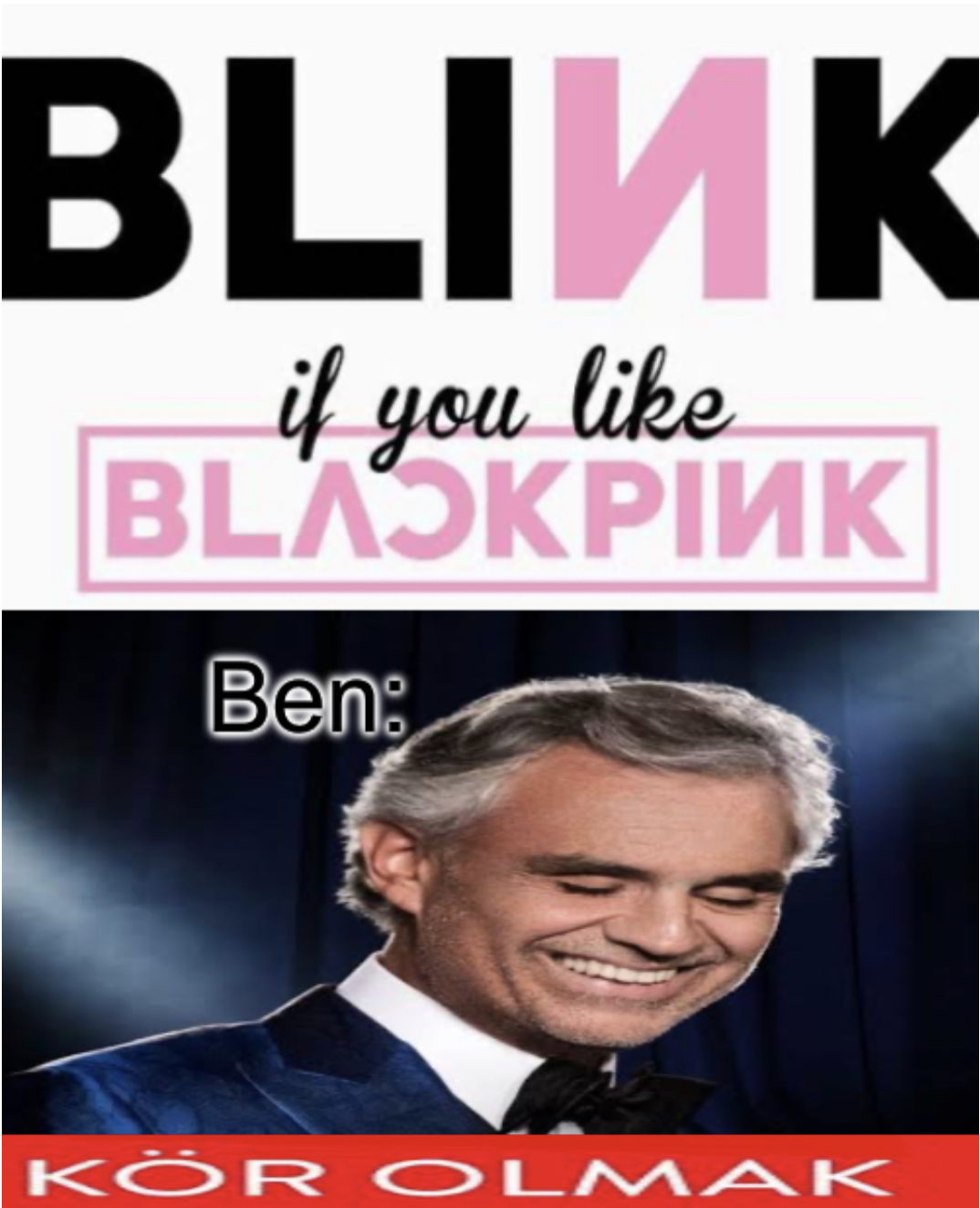 Plantilla de meme Blackpink Hater Türkçe Meme