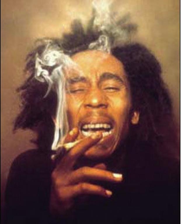 Plantilla de meme Bob Marley Logic