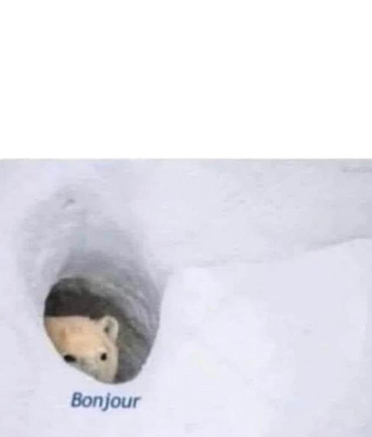 Template meme Bonjour