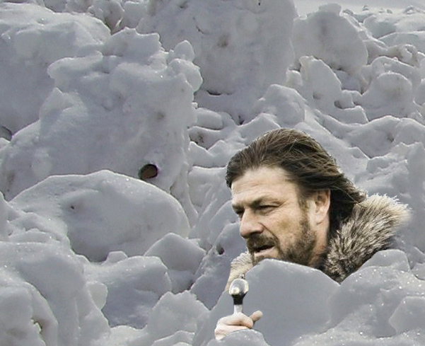 Plantilla de meme Brace Yourselves Avalanche