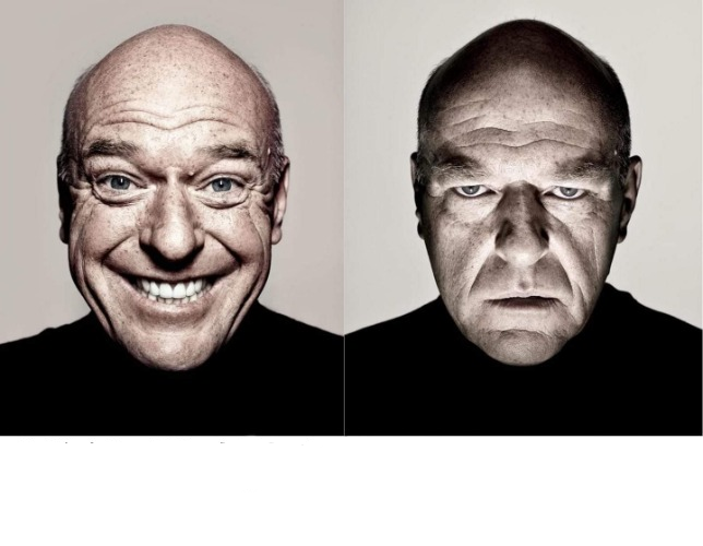 Plantilla de meme breaking bad smile frown