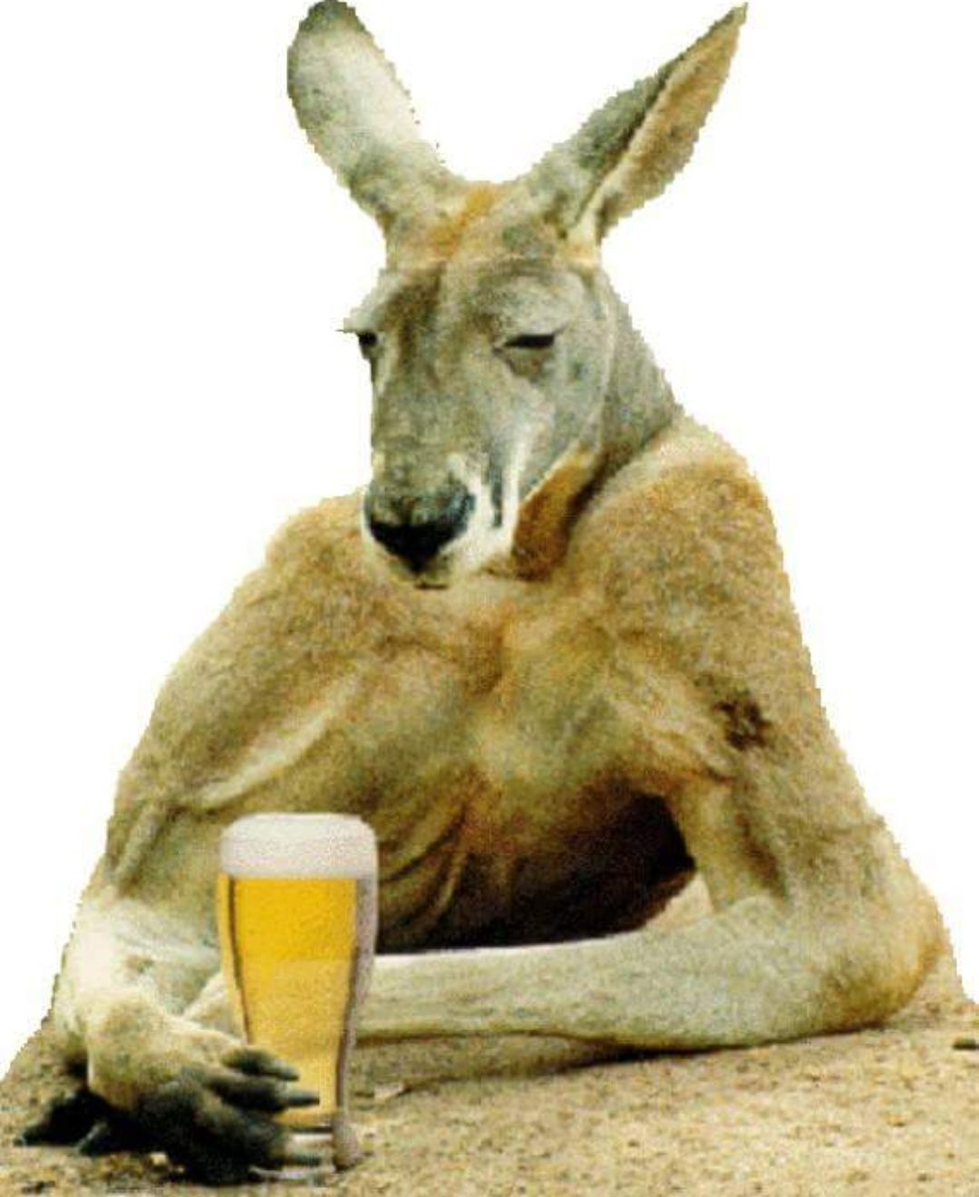 Plantilla de meme Breakup Party kangaroo