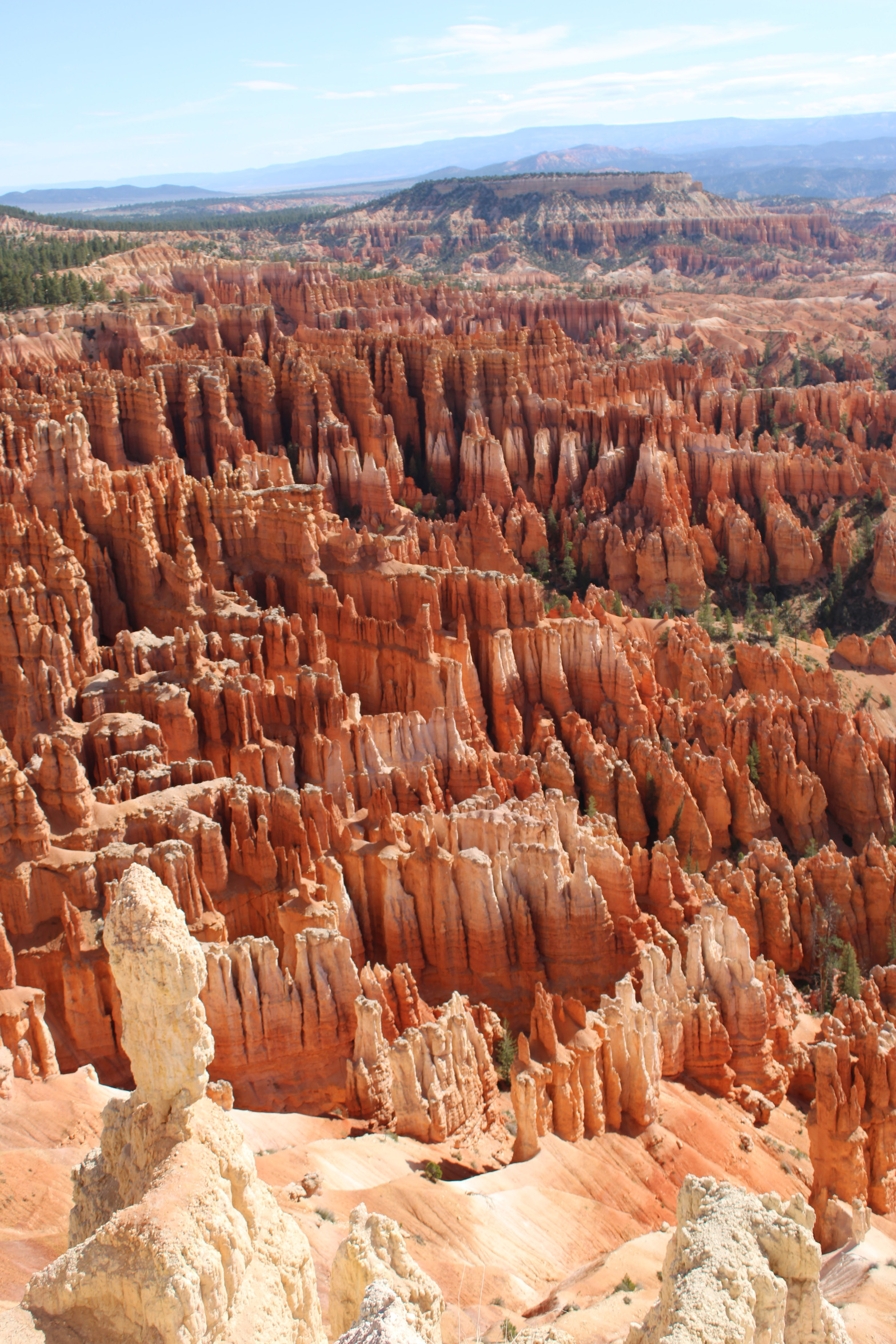 Plantilla de meme Bryce Canyon