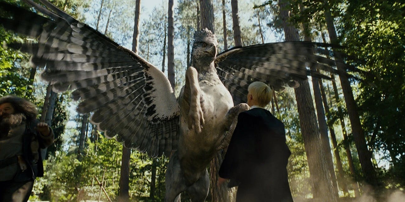 Plantilla de meme Buckbeak attacking Draco Malfoy